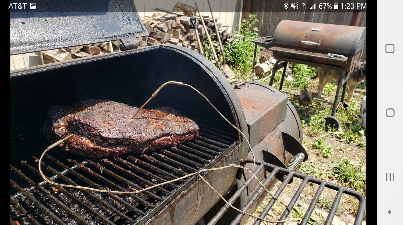 Where to Place Leave-In Probes on Brisket and Pork Butt